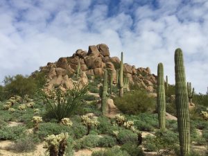 Safest Cities In Arizona